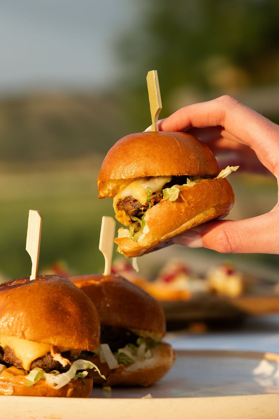 Guest picking up a slider