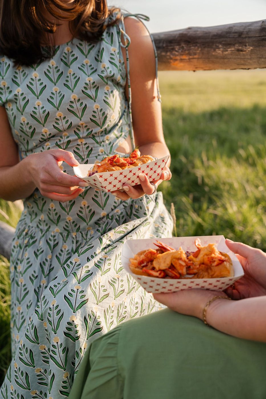 Guests eating fries in the grass